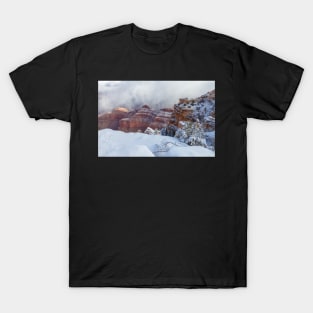 Grand Canyon Winter T-Shirt